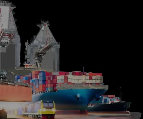 Musa Logistics warehouse operations