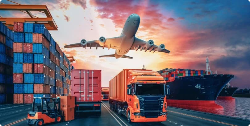 Professional Logistics and Supply Chain Optimization